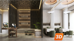 Spa Skp Files 